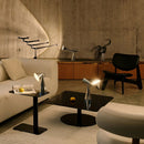 Pose Task Light