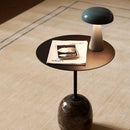 Cruise AP11-AP12-AP23