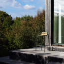 Vig Robinia Lounge Chair