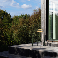 Vig Robinia Lounge Chair