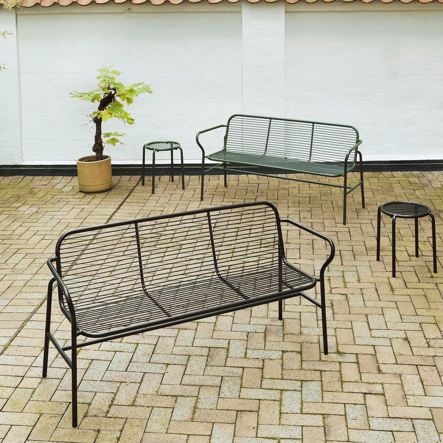 Vig Robinia Lounge Chair