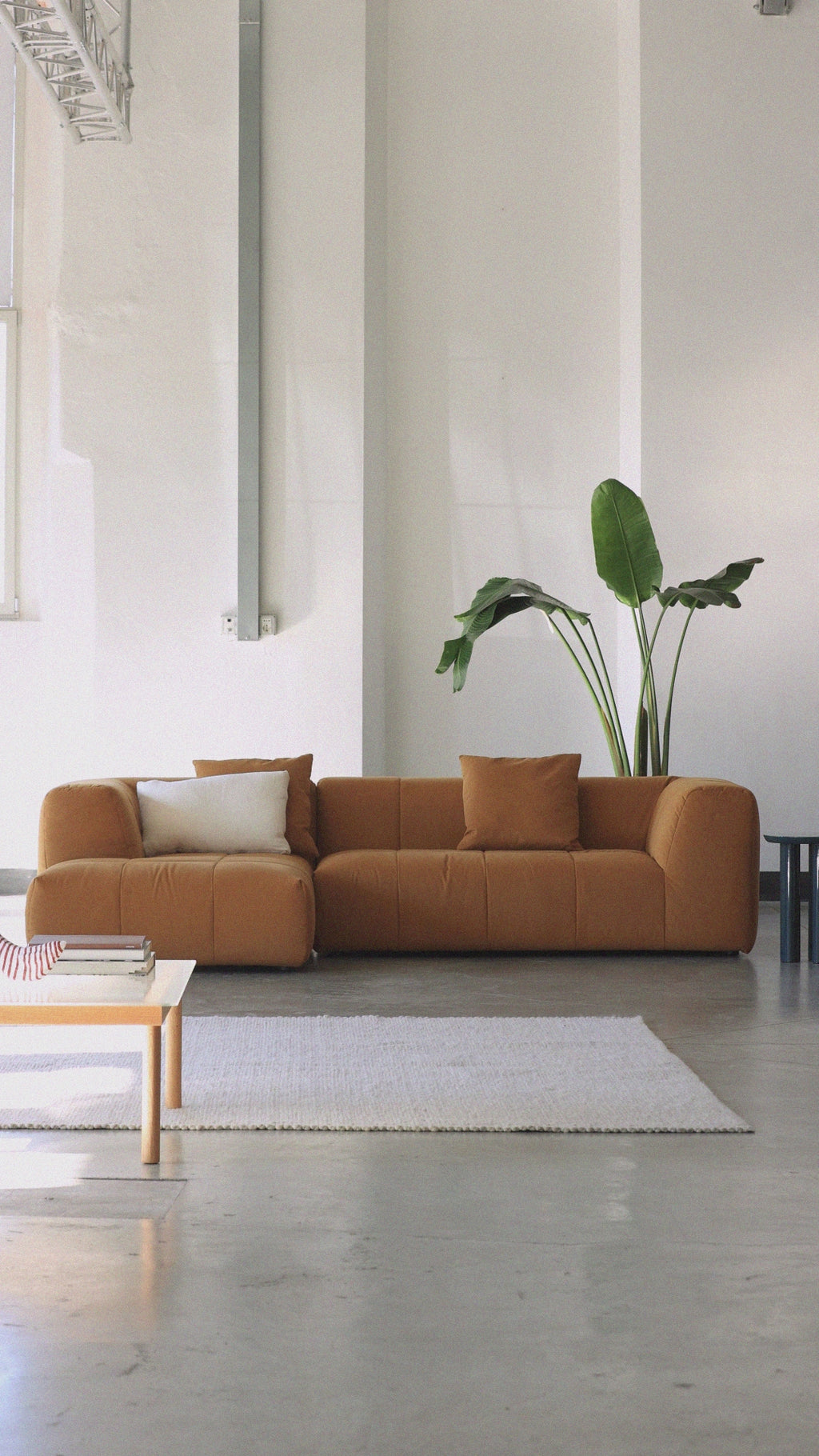 364339264c8948d08be5e1e6b5b917c9